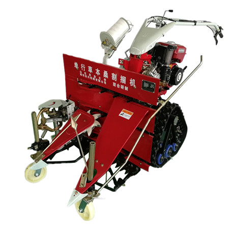 4SS-1�Ͳݱ�ɣ��䁙C